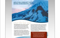 Annual Report – Pacific Environment