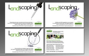 Serpico Postcard Direct Mail